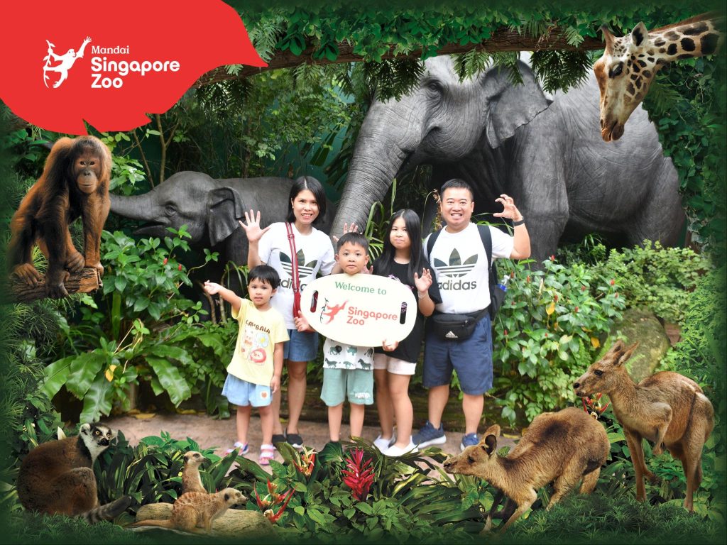 singapore-zoo